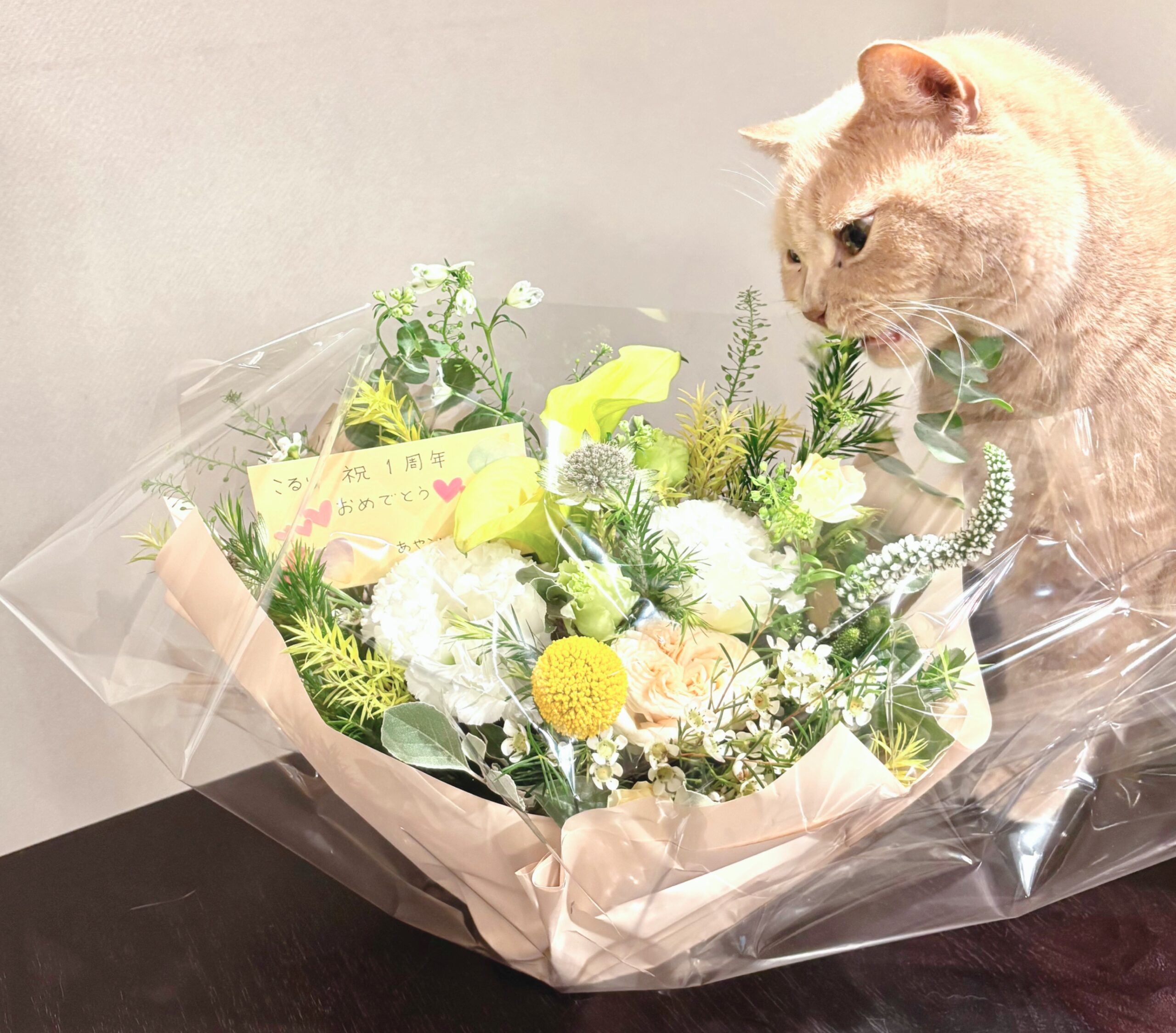 1周年&イベントのお礼