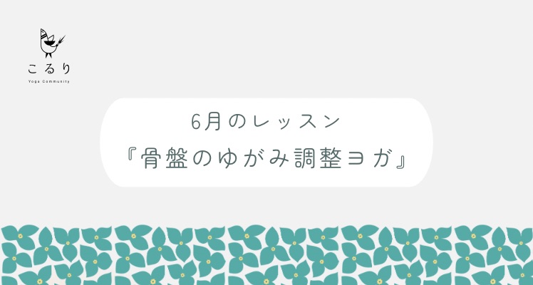ヨガ教室こるり　6月のテーマは「骨盤」です。